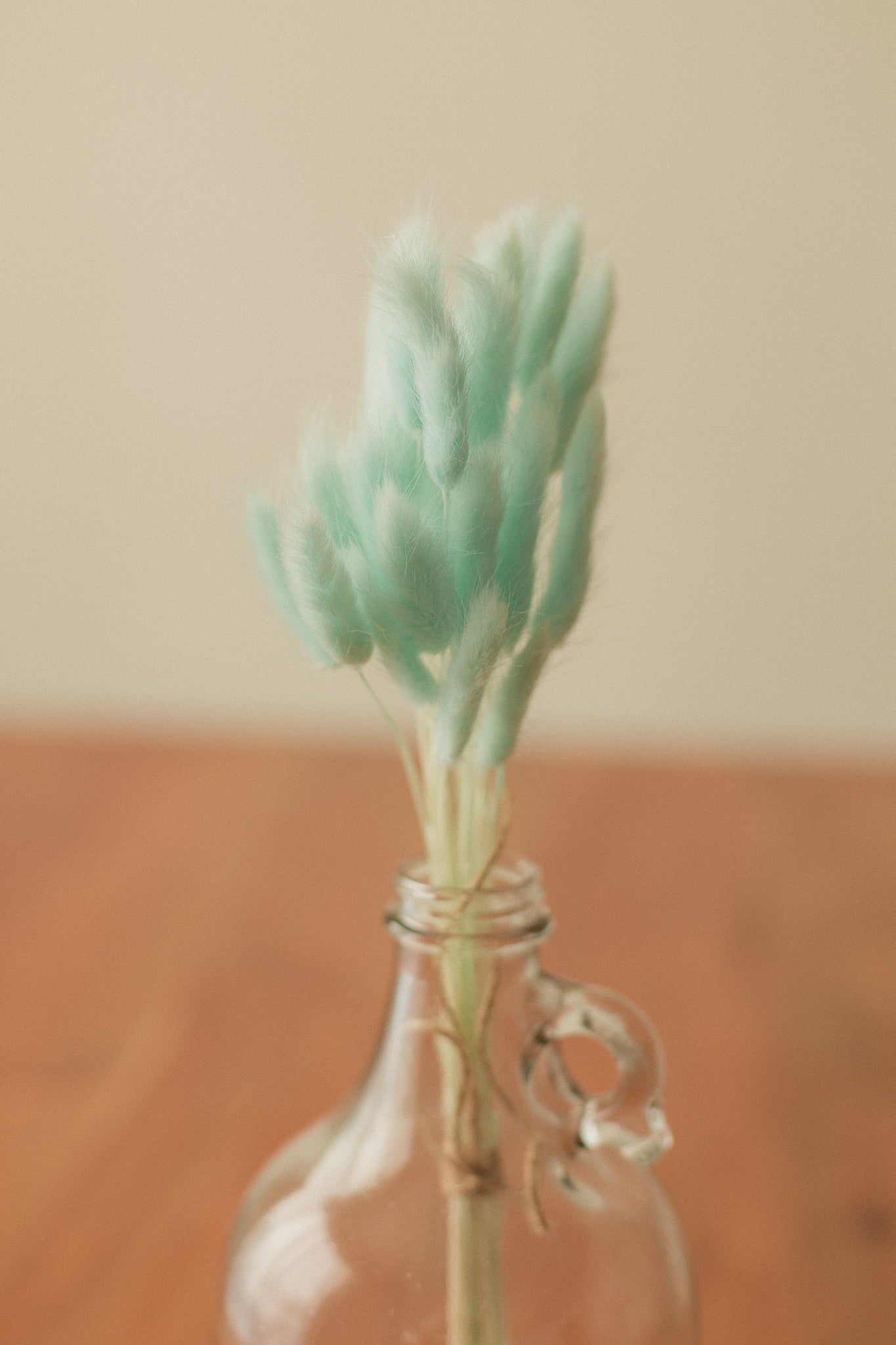 Bunny Tails