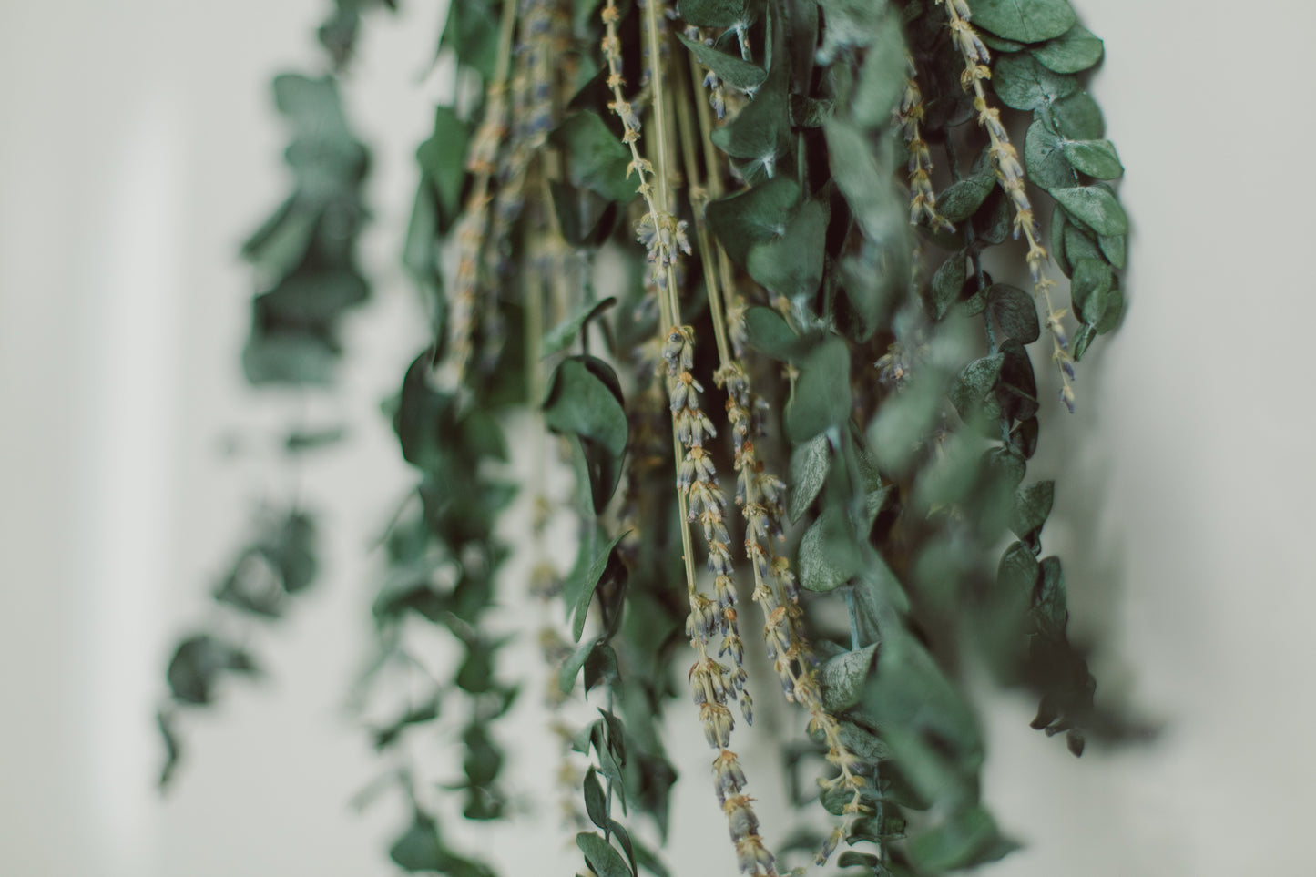 Eucalyptus Shower Bundle