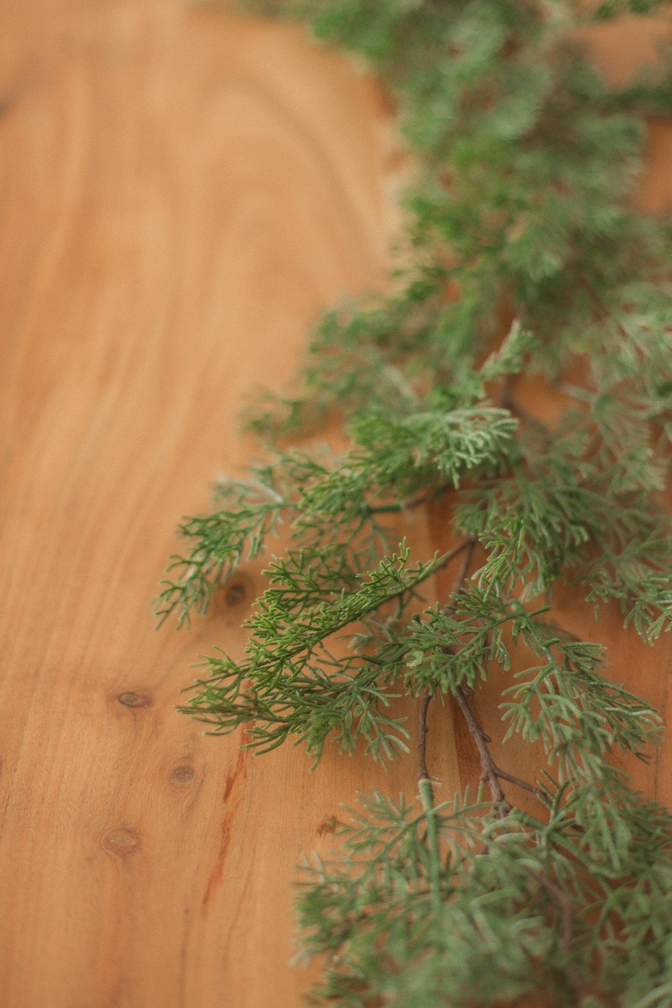 Cypress Pine Garland