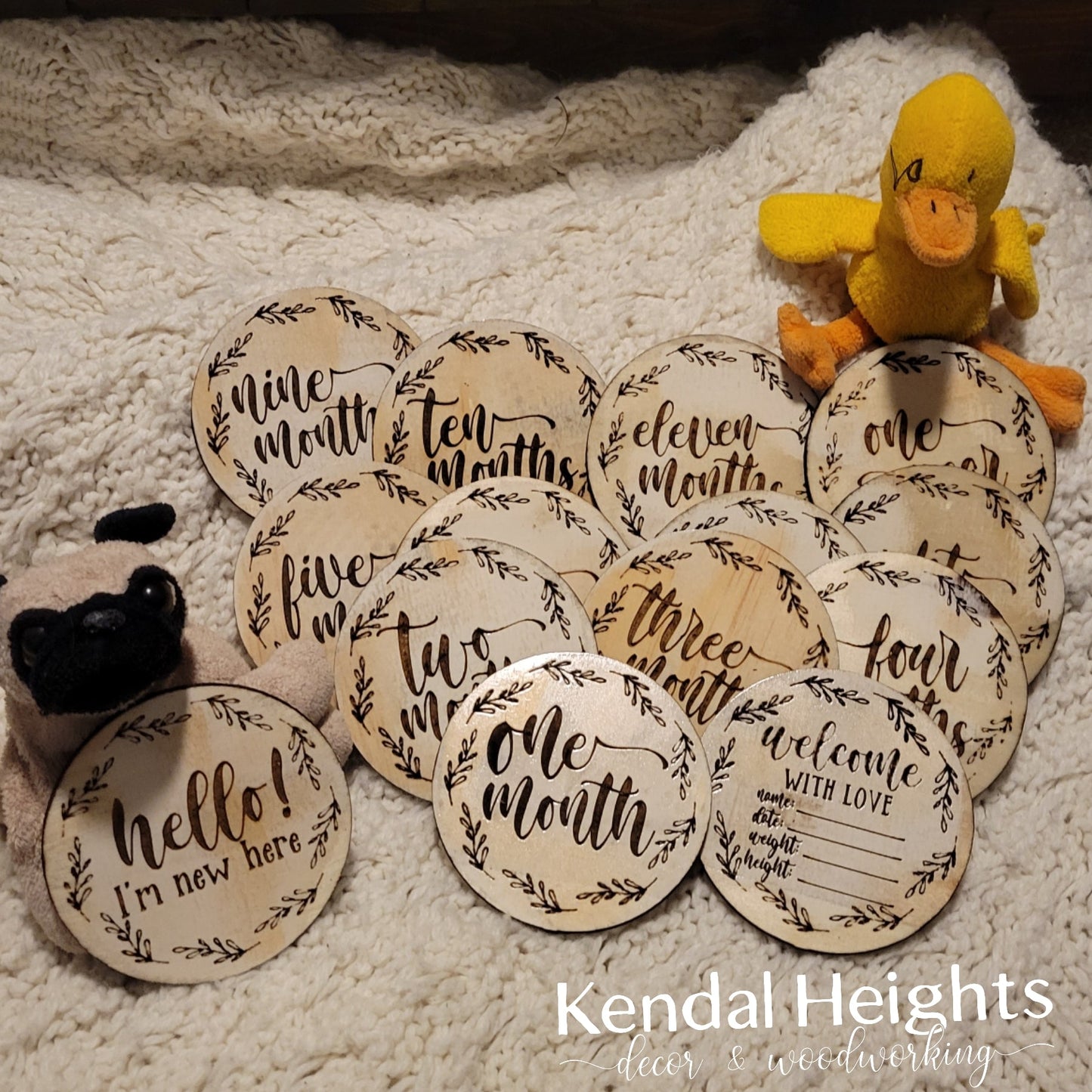Baby Monthly Milestone Discs-1