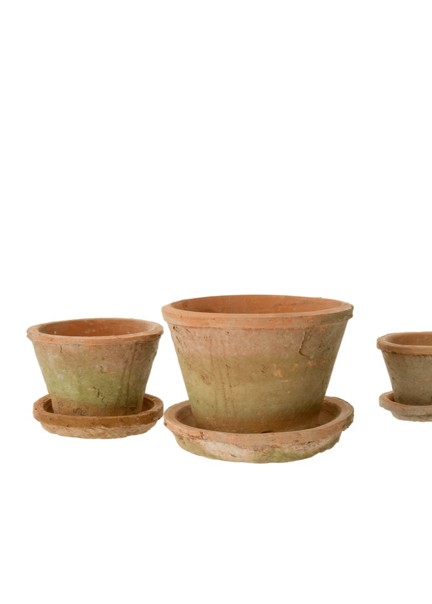 Aged Clay Cactus Pot + Saucer – Antique Redstone