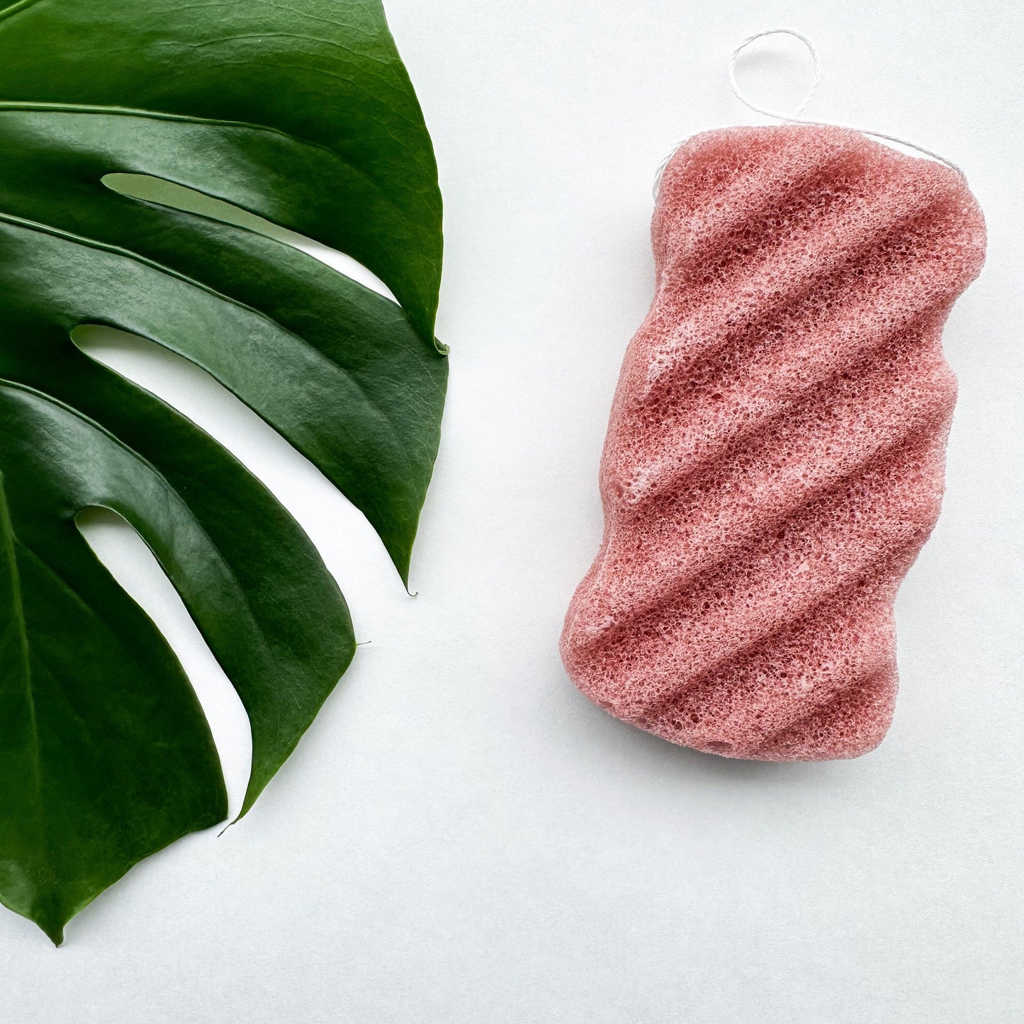 Natural Organic Konjac Body Sponge - Biodegradable Zero Waste Plastic Free Facial, Body & Bath Sponge - Sustainable Living and Bathroom-2
