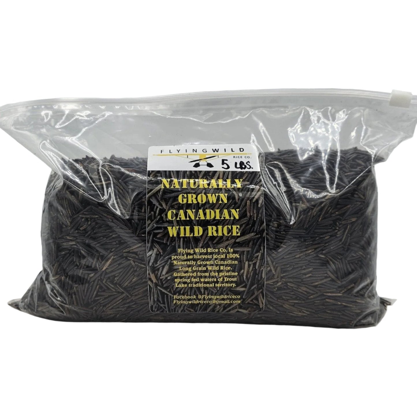 Wild Rice - Indigenous