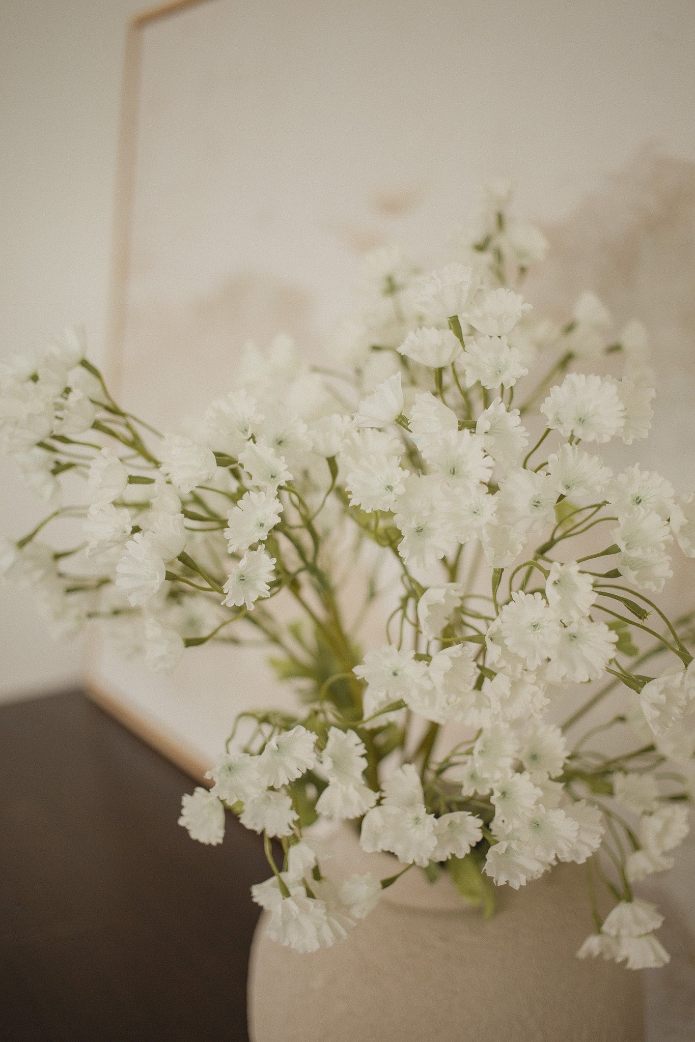 Gypsophila Elegan- Babies breath