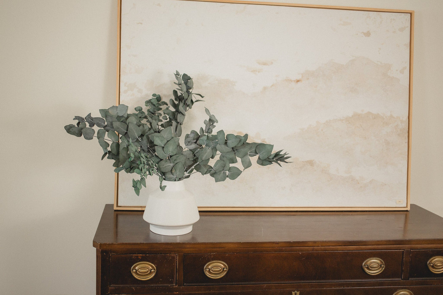 Italian Cinera Eucalyptus