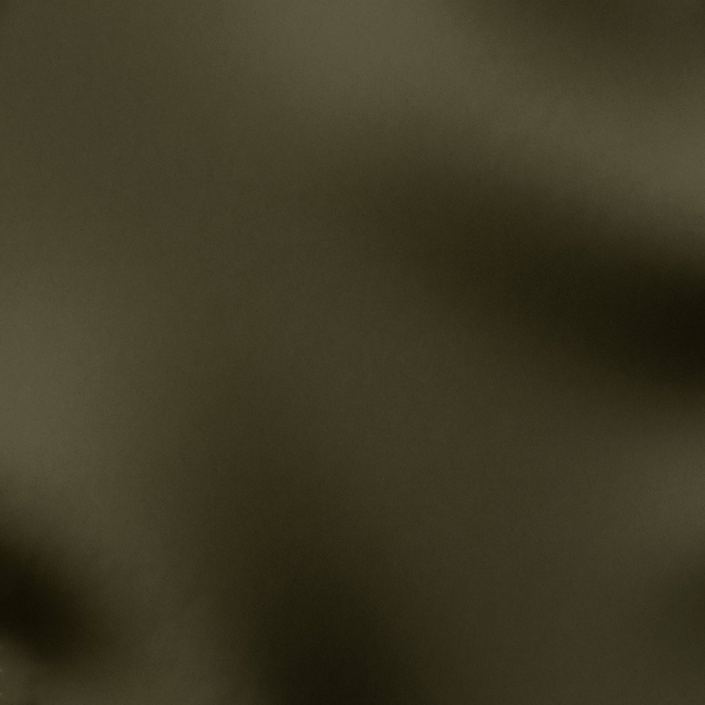 Fabric Swatch - Olive