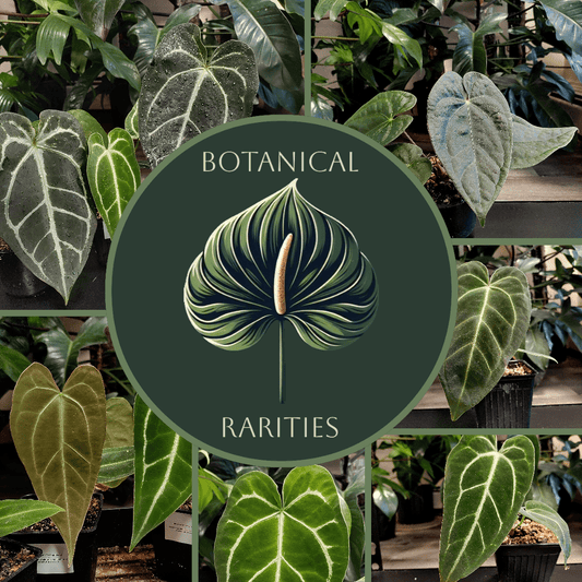 Botanical Rarities Gift Card