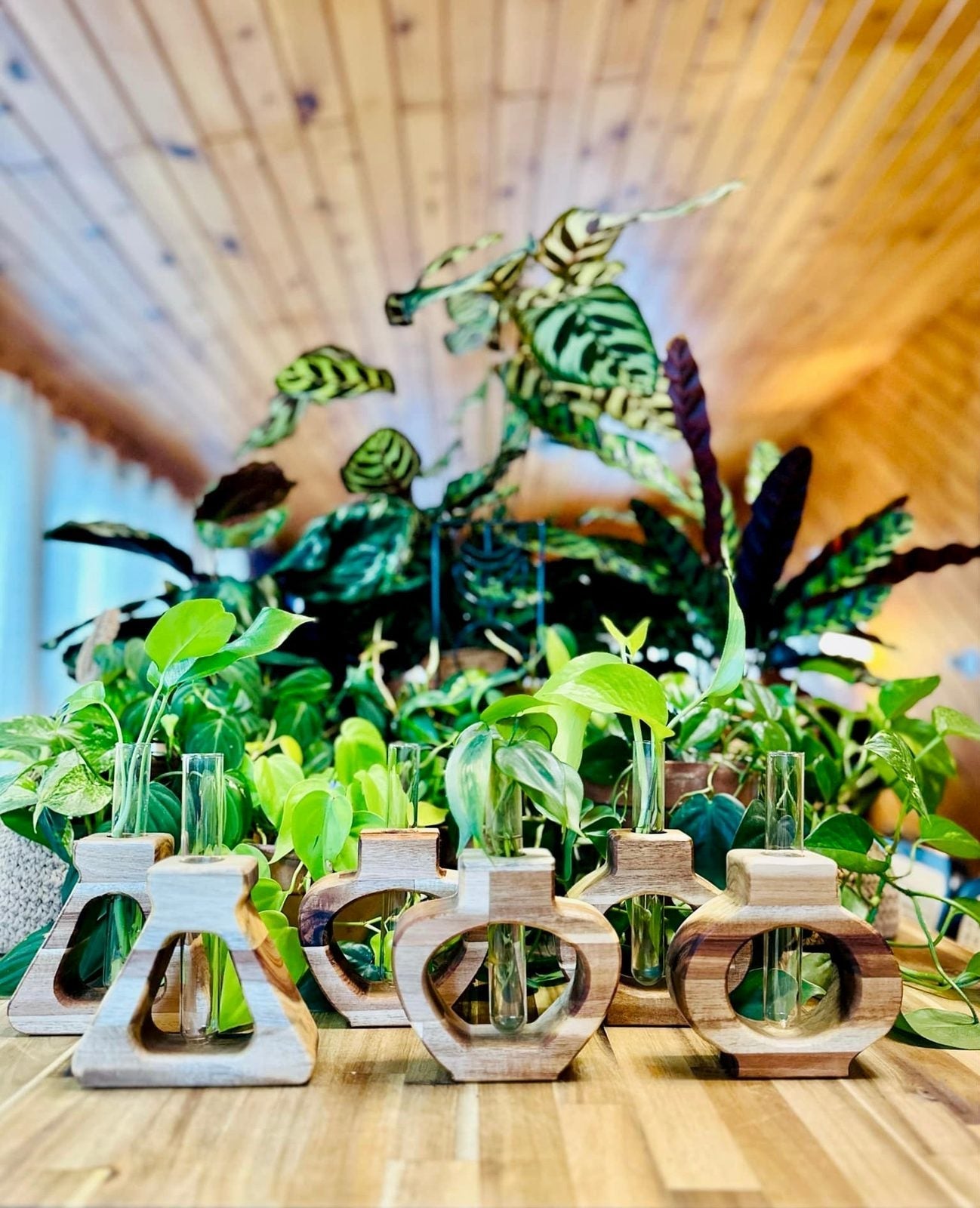 Propagation Stations