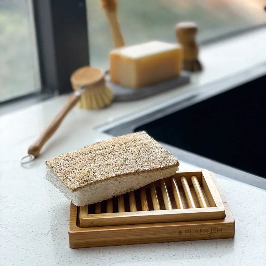 Orange - NEW Eco Sponge-2
